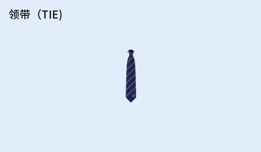 领带（TIE).png